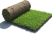 Prato a Rotoli Prato a Rotoli